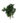 korunmus-sarmasik-hedera-arborea-green-yesil-bitki(1)